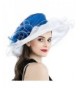 Dantiya Women's Kentucky Derby Church Summer Organza Wide Brim Party Wedding Hat - White and Blue - CR12O6K3GBU