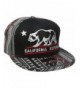 Dolphin Shirt Co California Republic Embroidered Bear Flag Flat Bill Snapback Hat - Aztec Tribal Pattern - CD126OL3UST