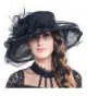 Fanny Women Voile Fascinator Church Formal Party Hat W042 - Black - CT11VA59IXF