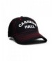 Carnegie Hall Embroidered Baseball Cap (Black) - Black - CF125STL37X