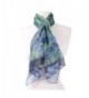 Galleria Monet Japanese Bridge Scarf - C412O5C4V17