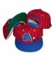 Quebec Nordiques Two Tone Pinstripe Snapback Adjustable Plastic Snap Back Hat / Cap - CJ115LJGA4B