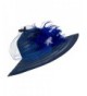 Lawliet Womens Dress Church Kentucky Derby Wide Brim Feather Wedding Veil Sun Hat A265 - Navy Blue - CN11WUE2YLJ