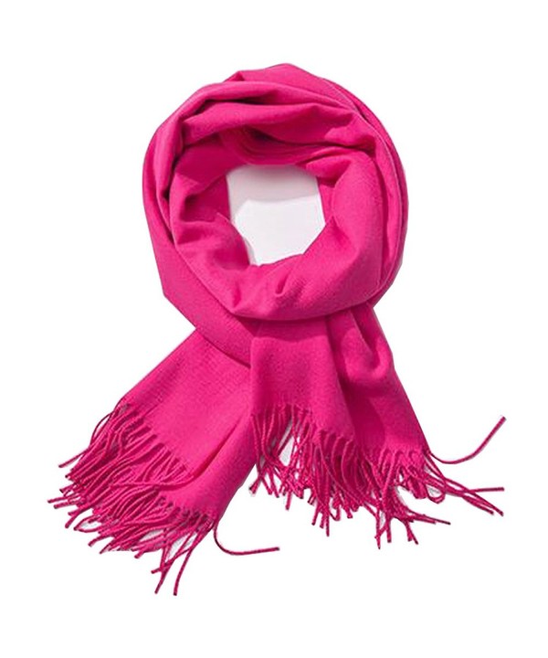 Soft Cashmere Feel Scarf- Bien-Zs Large Pashmina Shawls Wraps Winter Scarf for Women Men Gift - Pink - CZ1880QKTCL