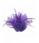 Women Fascinator Hair Clip Headband Feather Flower Cocktail Tea Party Headwear - F Purple - CR186I85KDW