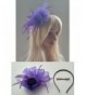 Fascinator Headband Feather Cocktail Headwear