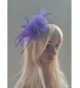 Fascinator Headband Feather Cocktail Headwear in  Women's Headbands in  Women's Hats & Caps