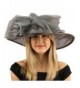 Fancy Kentucky Derby Floppy Big Layer Fishnet Sheen Ribbon Bow Church Hat - Gray - CP11CGWMDO3