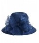 Kentucky Bowler Bowknot Organza S051