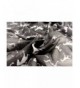 Womens Gorgeous Printed Lightweight Scarves