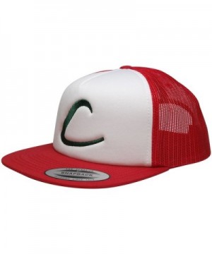 FLEXFIT Pokemon Trainer Embroidered Snapback