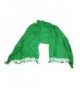 Love Lakeside Large Silky Pashmina Colors in Fashion Scarves