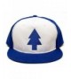 Dipper Flat Hat Blue Pine Tree Embroidered Movie Cap Adult One Size Royal/White - CM12C6635X1