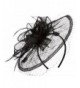 San Diego Hat Company Women's Fasninator Hat with Curled Bow and Feathers - Black - CA126VCLAT1