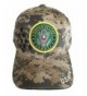 Aesthetinc U.S. Military Army Baseball Cap Officially Licensed Sealed - Camouflage Stars - CW11XUUXDG7