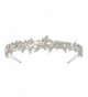 EVER FAITH Silver-Tone Austrian Crystal Elegant Bridesmaid Flower Hair Band Clear - CR11JOLD109