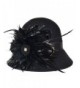 Elegant Womens Wool Feathers Cloche Bucket Rhinestone Black Hat - CR11OQ65821