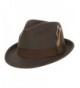 9th Street Men's 100% Wool 'Verve' Trilby Fedora Hat (3 Colors) - Brown - CX12M0UJO3X
