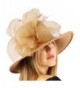 Winter Fancy Satin Wool Felt Big Floral Floppy Wide Brim Derby Church Hat - Camel - CZ127PV0IS7