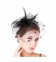 Fascinaor Hair Clip Feather Veil Wedding Party Hat - Balck - CT1867SUXKY