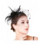 Fascinaor Feather Wedding Party Balck in  Women's Headbands in  Women's Hats & Caps