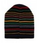 Harry Potter Hogwarts Striped Beanie