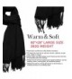 Womens Cashmere Pashmina Shawls Winter