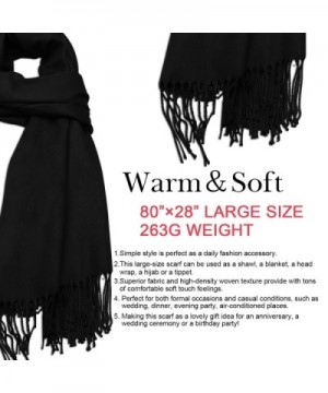 Womens Cashmere Pashmina Shawls Winter