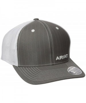 Ariat Men's Gray Pinstripe Corner Brand - Gray - CL12GKF36Q5