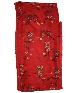 Ted Jack Wise Print Scarf in Fashion Scarves