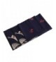 Women's Big Long Shawl Crane Pattern Japanese Winter Warm Scarf for Cold Weather - Navy Red - CH1880965X3