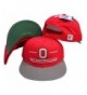 Ohio State Buckeyes Classic Split Bar Snapback Adjustable Snap Back Hat / Cap - CY116H1KTXB
