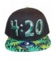 Loyal Cloth Weed 420 Snapback Design Cap - Full Weed - CL129W1K74D