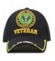 THE HAT DEPOT Military Licensed 3D Embroidered Veteran Baseball Cap - Black-u.s. Army - CD189NQ4AQY
