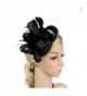 ChezAbbey Women's Feather Flower Derby Hat Fascinator Hair Clip Wedding Party - Black - CB1868NH66U