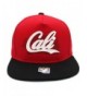 LAFSQ Rubber Adjustable Snapback California