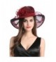 MissCynthia Women's Organza Church Kentucky Derby Fascinator Tea Party Wedding Hat - Wine Red - CH182T42Z4C