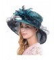 Wimdream women Organza Derby Church wedding party wide brim feather hat S041-S - Turquoise - CY12O8Q2MCA