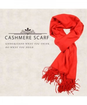 Jhchen Women color Authentic Cashmere in Fashion Scarves