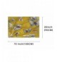 SoLine Butterfly Scarves Blanket lightweight in Fashion Scarves