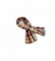 Plaid Blanket Tassels Scarf Gorgeous in Fashion Scarves