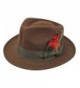 Luxury Divas Wide Brim Structured Fedora With Feather Hat Band - Brown - CB115SSFEDT