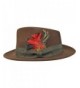 Brown Wide Structured Fedora Feather