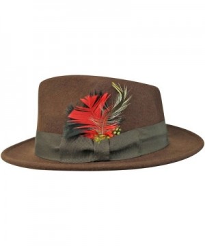 Brown Wide Structured Fedora Feather